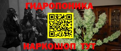 гидропоника Кунгур