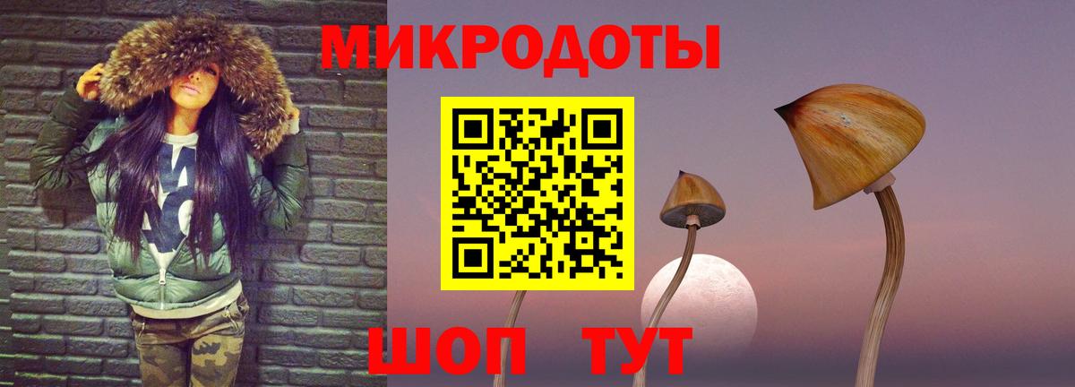 Псилоцибиновые грибы GOLDEN TEACHER  где продают   Знаменск  Вход с VPN 